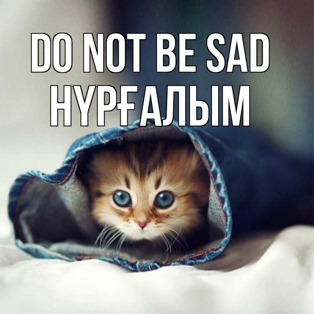 Greetings card с именем, НҮРҒАЛЫМ Do not be sad рыжик котик Greetings with text for free download 