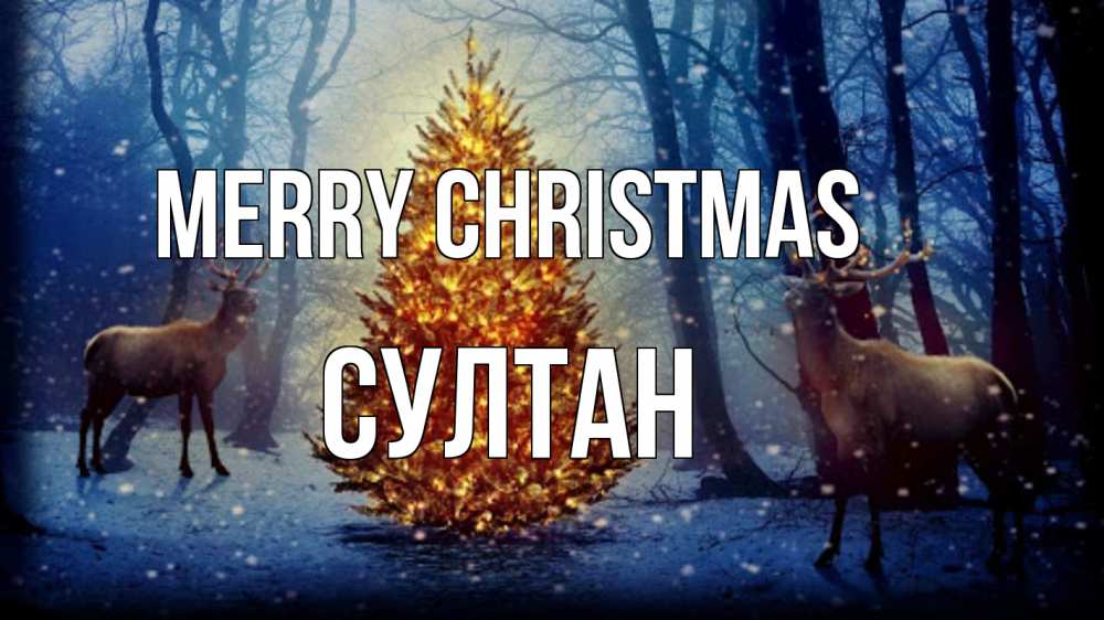 Greetings card с именем, Султан Merry Christmas олени, новогодняя елка Greetings with text for free download 