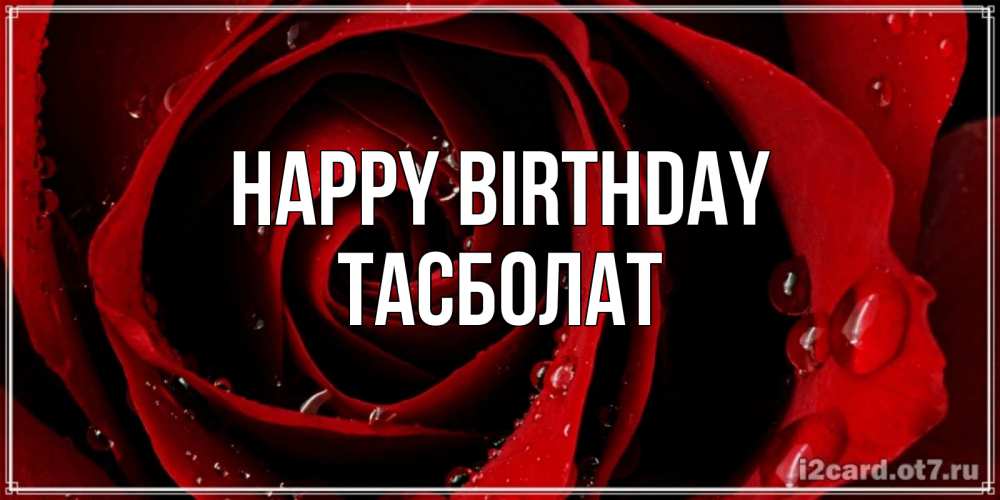 Greetings card с именем, ТАСБОЛАТ Happy Birthday крупная бордовая роза Greetings with text for free download 