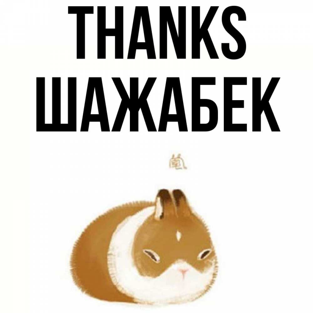 Greetings card с именем, ШАЖАБЕК Thanks коричнево белый домашний питомец Greetings with text for free download 