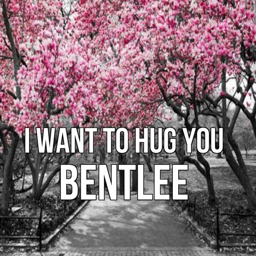 Greetings card с именем, Bentlee I want to hug you обработанное фото Greetings with text for free download 