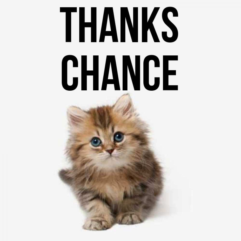 Greetings card с именем, Chance Thanks пушистый котик Greetings with text for free download 