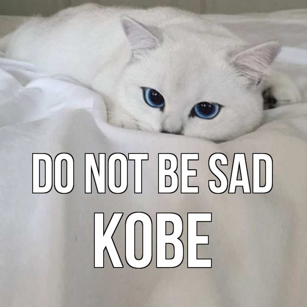 Greetings card с именем, Kobe Do not be sad белый кот с голубыми глазами на белоснежной кровати Greetings with text for free download 