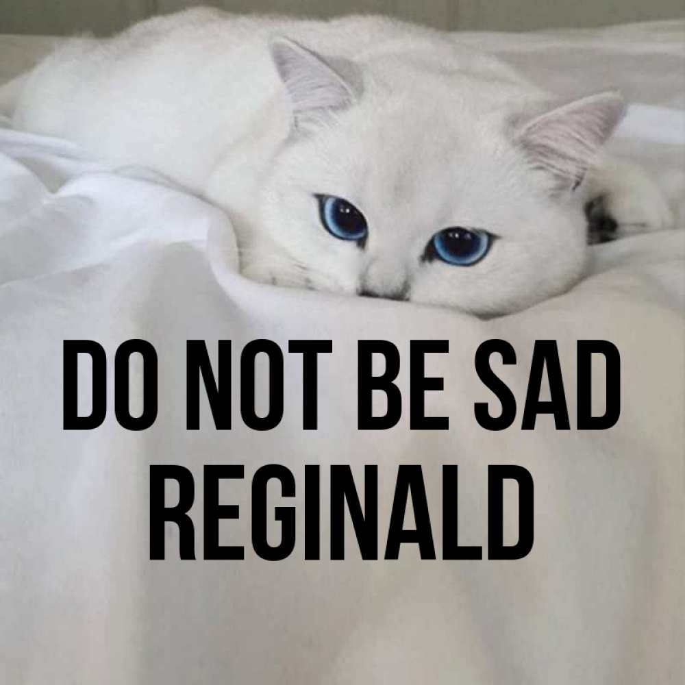 Greetings card с именем, Reginald Do not be sad Голубоглазая кошка Greetings with text for free download 