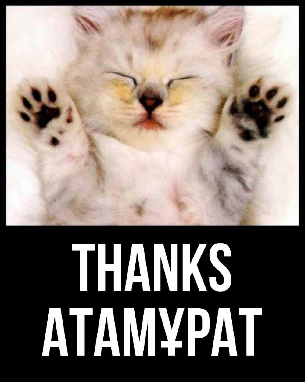 Greetings card с именем, Атамұрат Thanks маленький котенок Greetings with text for free download 