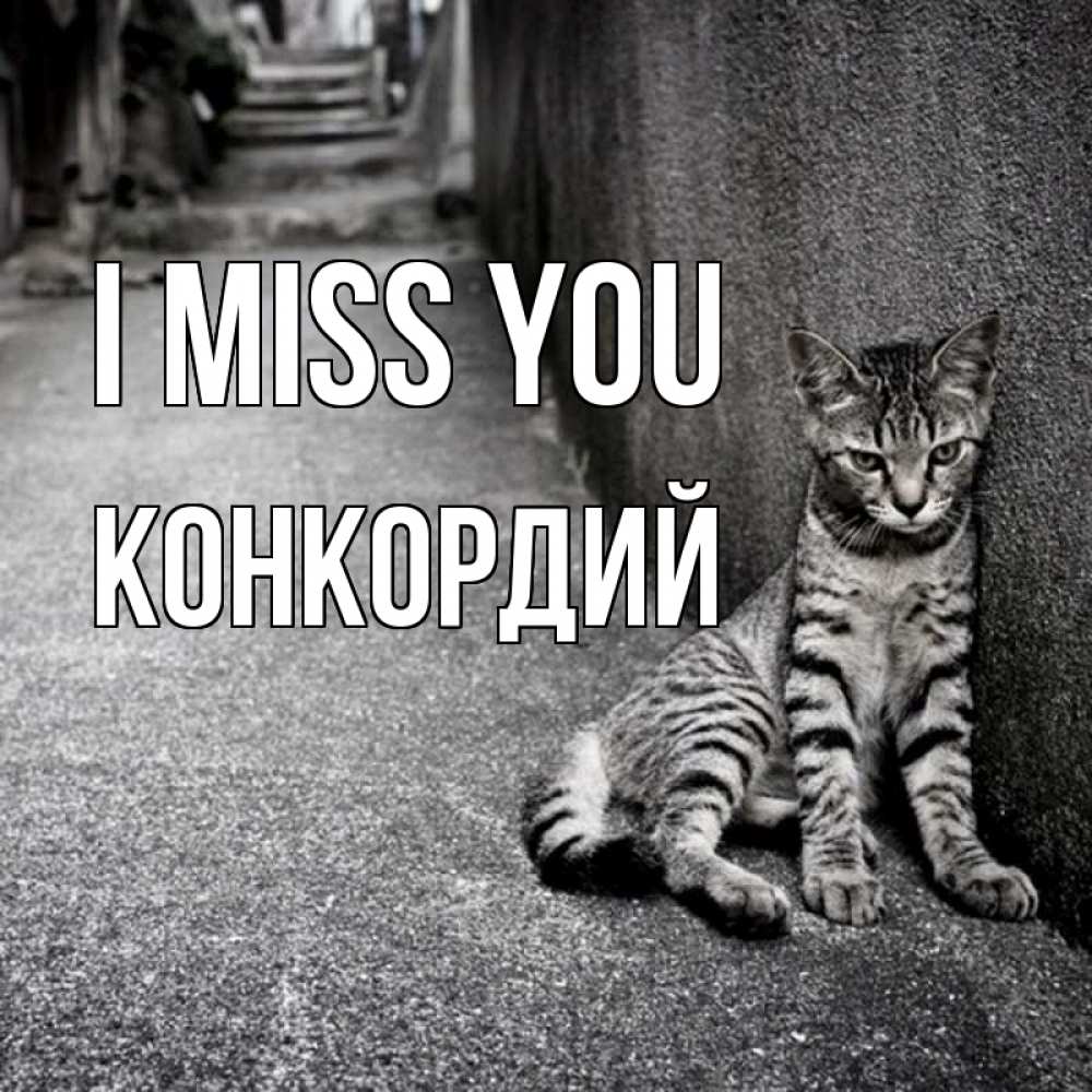 Greetings card с именем, Конкордий I miss you одиноко котику Greetings with text for free download 