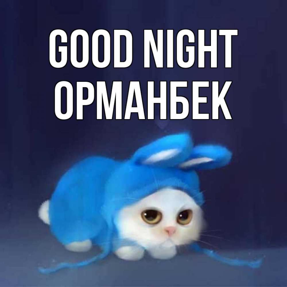 Greetings card с именем, ОРМАНБЕК Good night кот в голубом костюме кролика с ушками Greetings with text for free download 
