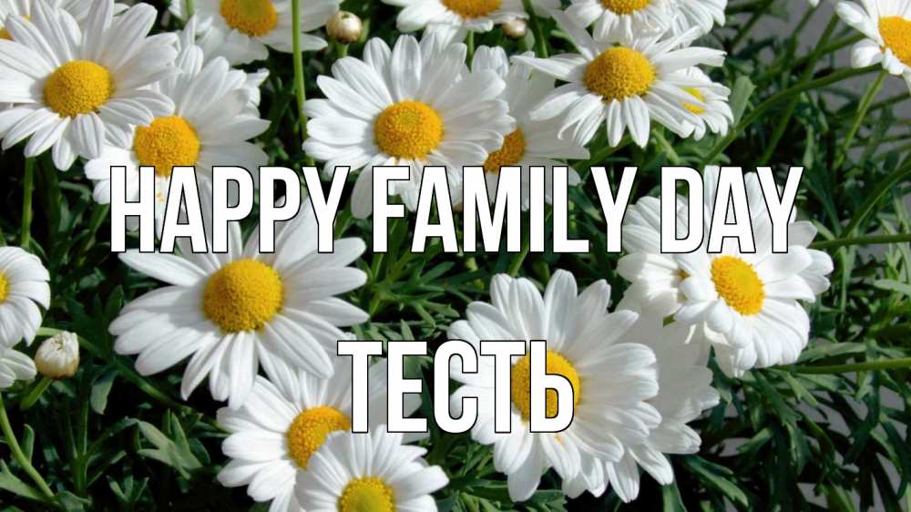 Greetings card с именем, Тесть happy family day с днем семьи Greetings with text for free download 