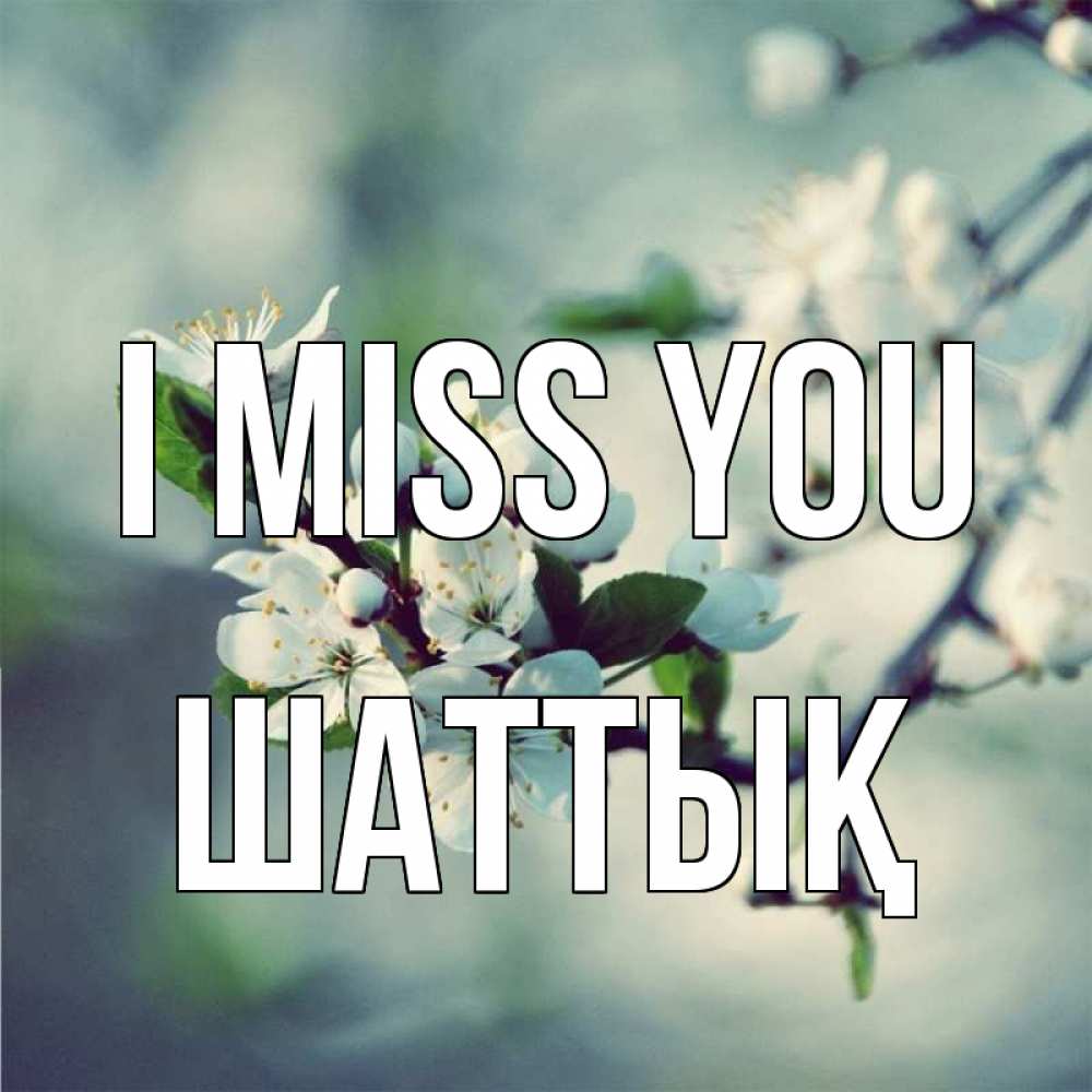 Greetings card с именем, ШАТТЫҚ I miss you весна Greetings with text for free download 