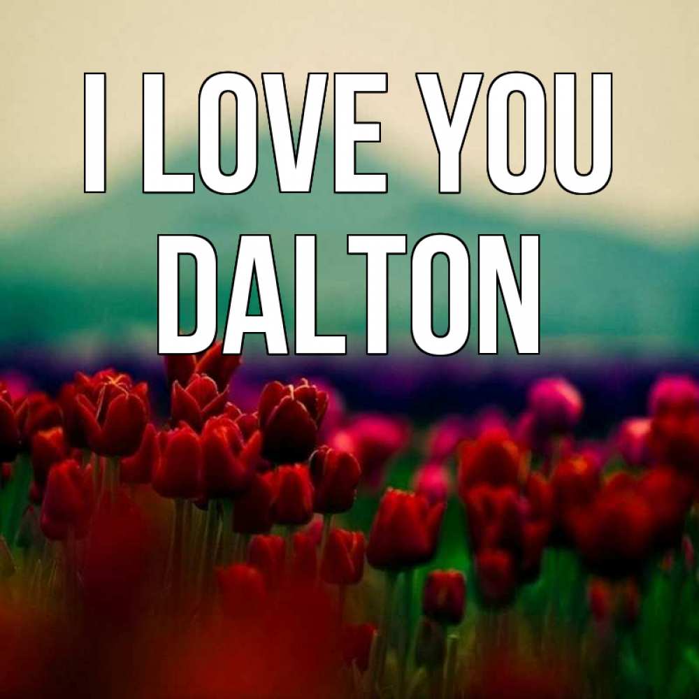 Greetings card с именем, Dalton I love you тюльпаны 4 Greetings with text for free download 