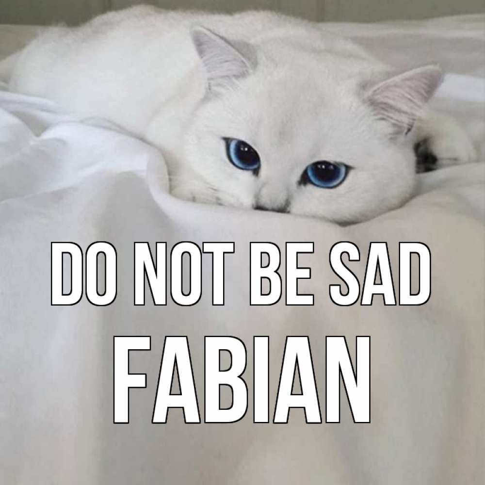 Greetings card с именем, Fabian Do not be sad белый кот с голубыми глазами на белоснежной кровати Greetings with text for free download 