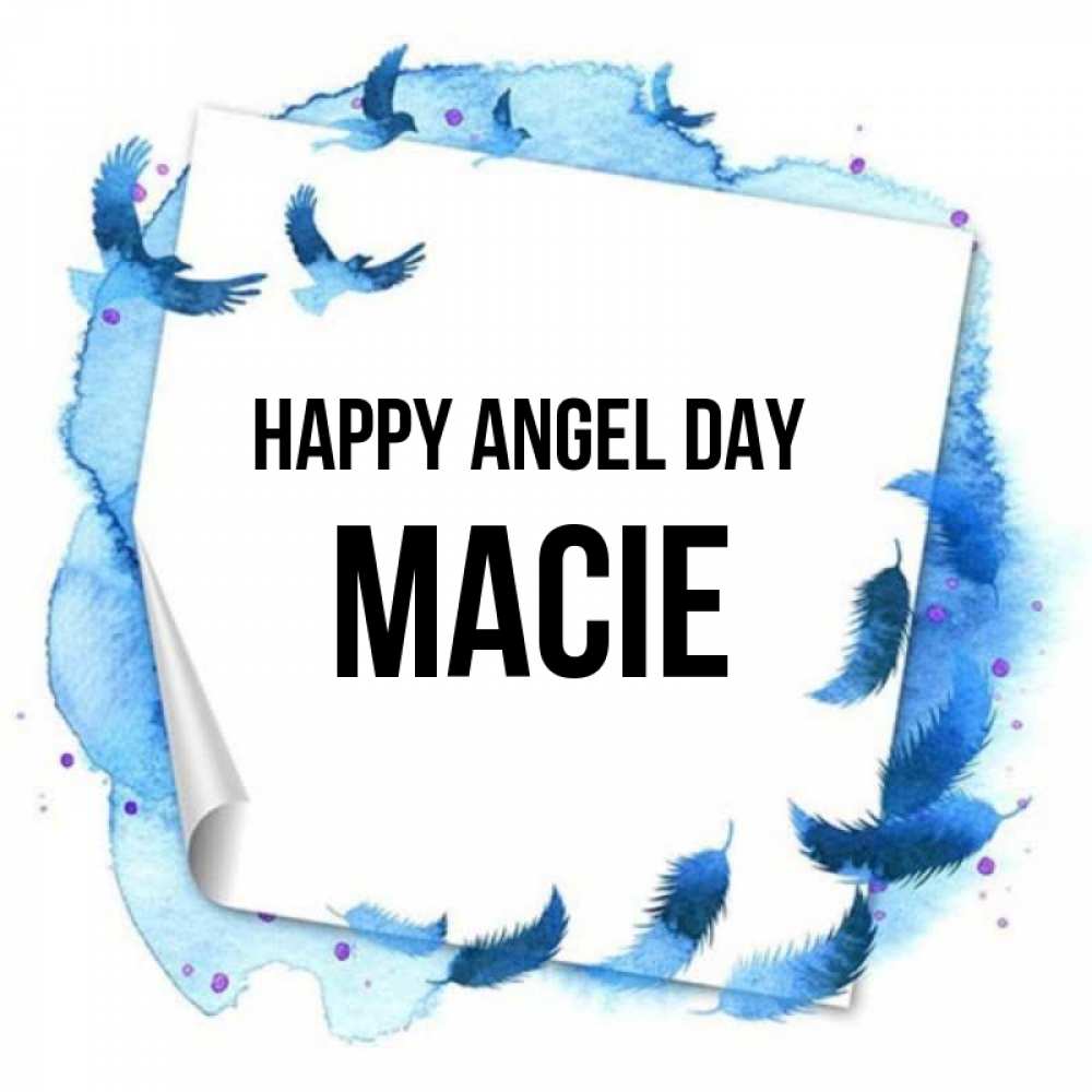 Greetings card с именем, Macie happy angel day красивые птицы летят Greetings with text for free download 
