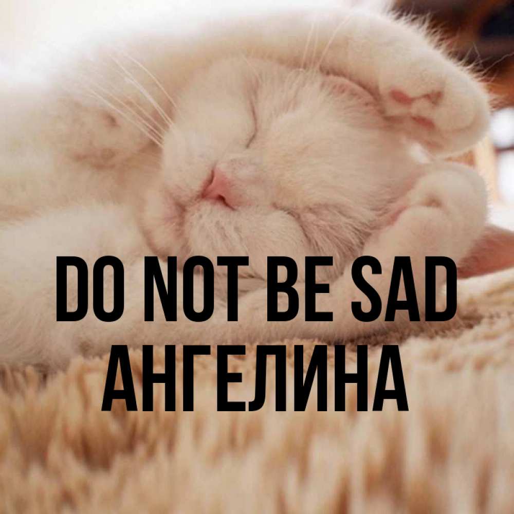 Greetings card с именем, Ангелина Do not be sad Котенок спит Greetings with text for free download 