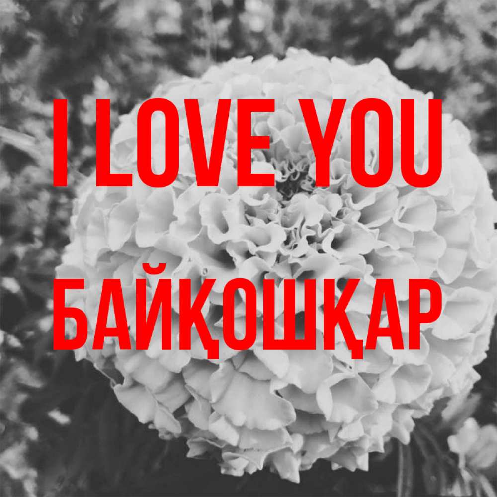 Greetings card с именем, Байқошқар I love you подпись Greetings with text for free download 
