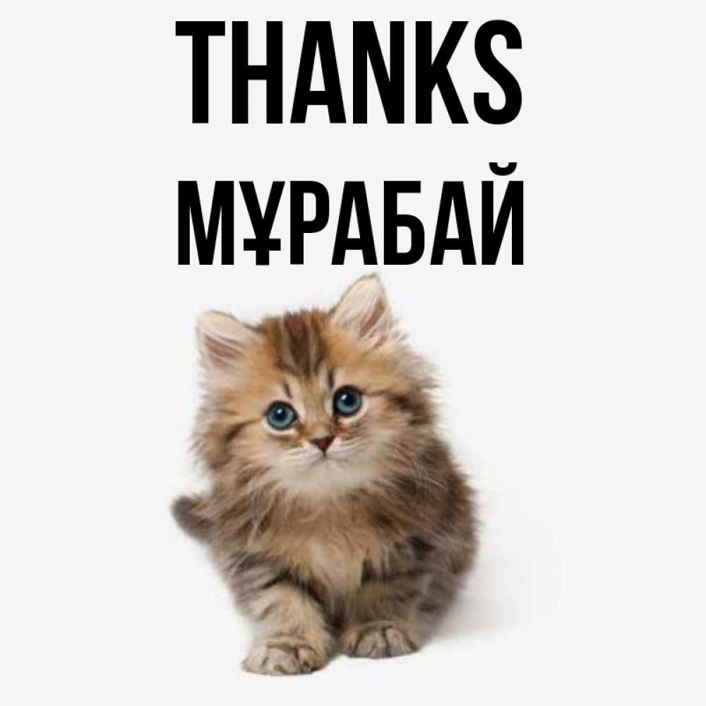 Greetings card с именем, МҰРАБАЙ Thanks пушистый котик Greetings with text for free download 