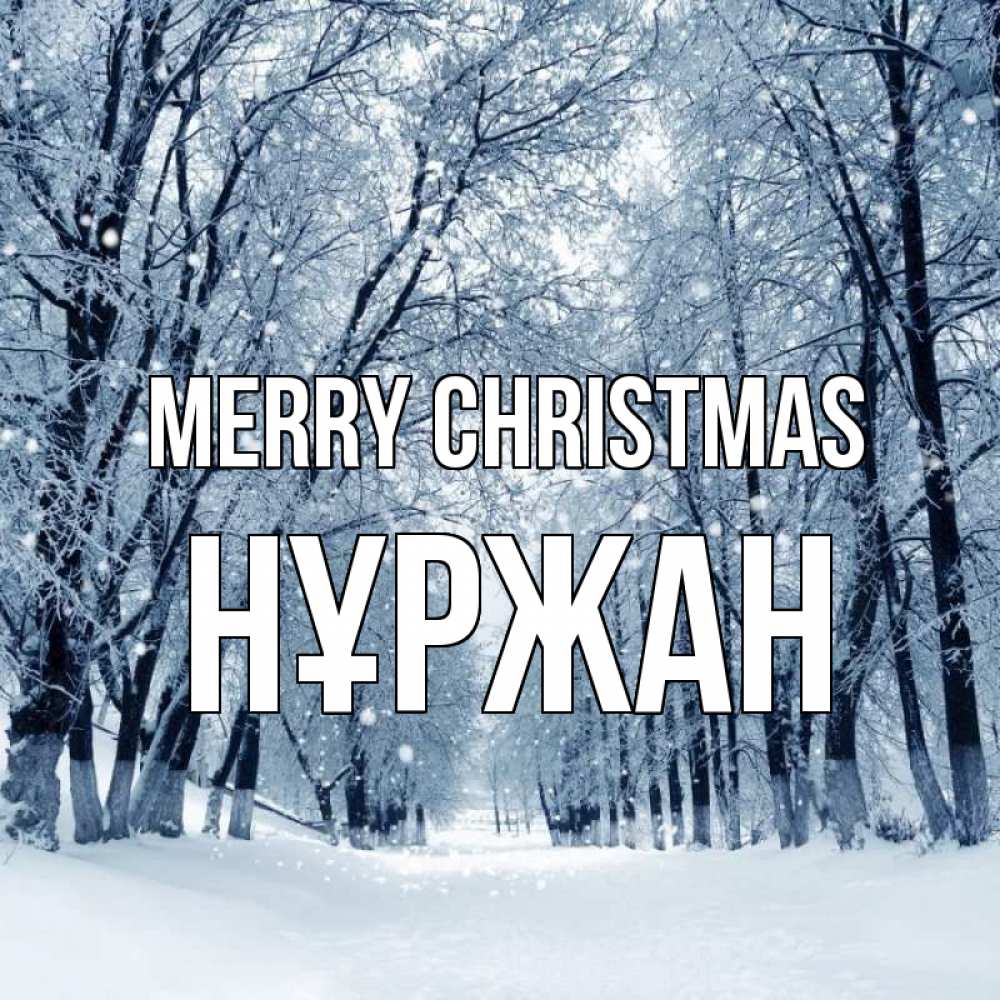 Greetings card с именем, НҰРЖАН Merry Christmas снег, лес, парк Greetings with text for free download 