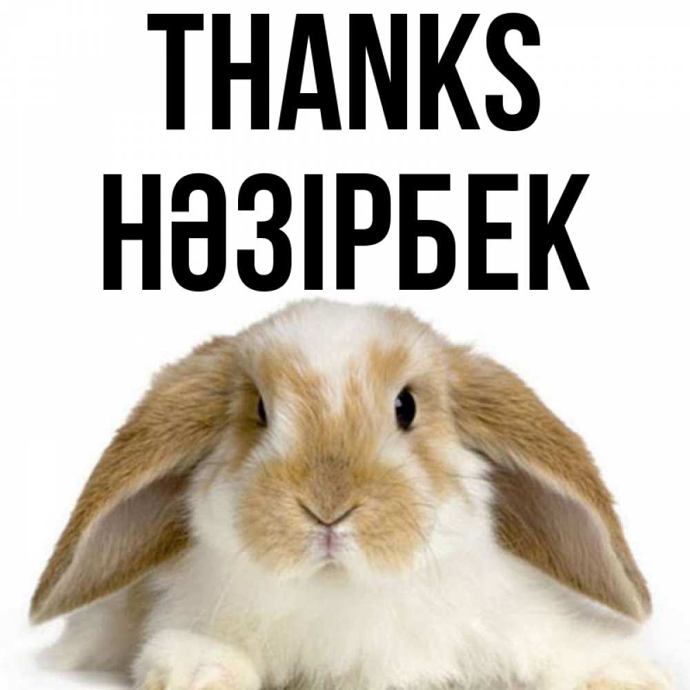 Greetings card с именем, НӘЗІРБЕК Thanks коричнево белый заяц Greetings with text for free download 