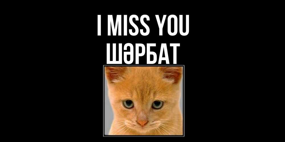 Greetings card с именем, ШӘРБАТ I miss you открытки рыжий котенок скучает по тебе Greetings with text for free download 