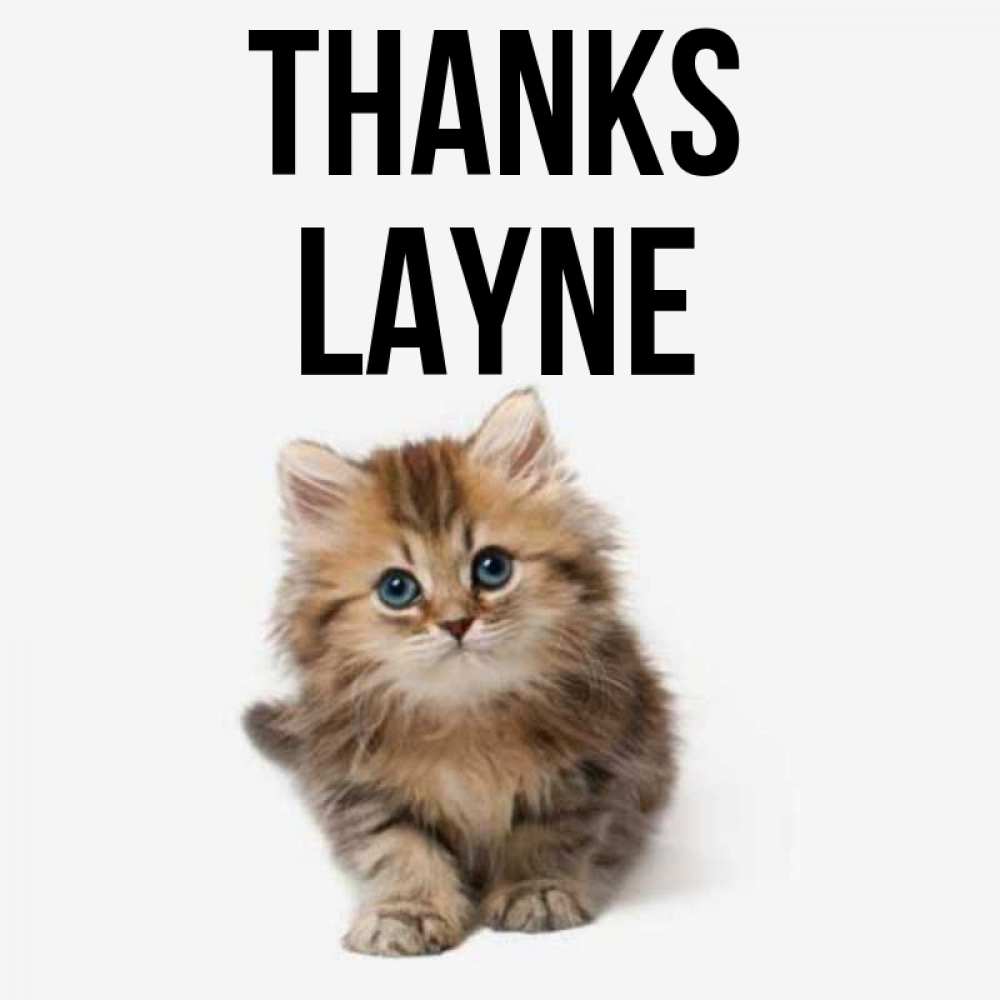 Greetings card с именем, Layne Thanks пушистый котик Greetings with text for free download 