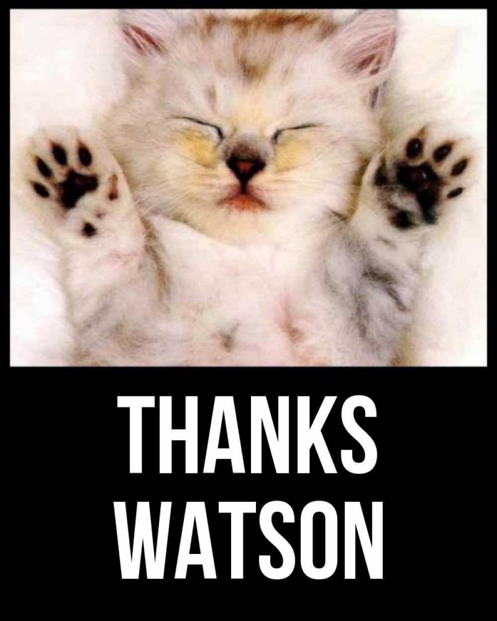 Greetings card с именем, Watson Thanks маленький котенок Greetings with text for free download 