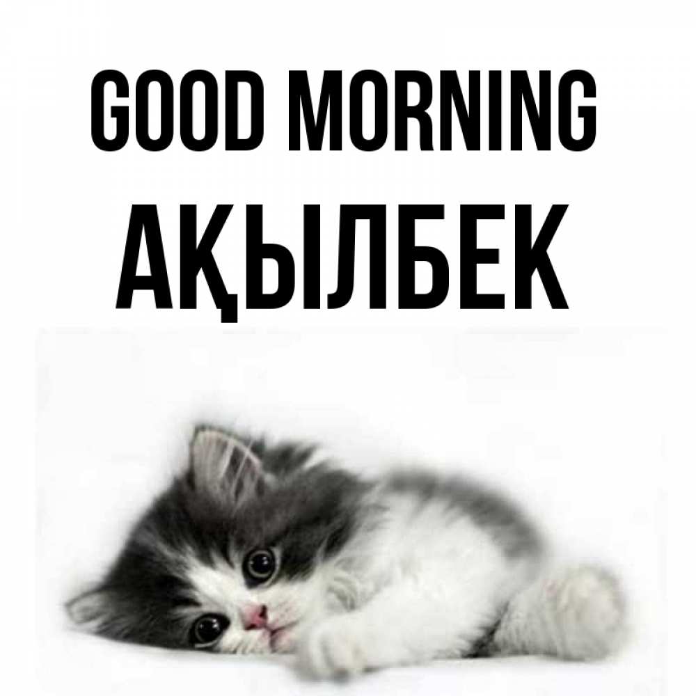 Greetings card с именем, Ақылбек Good morning кот лапки Greetings with text for free download 