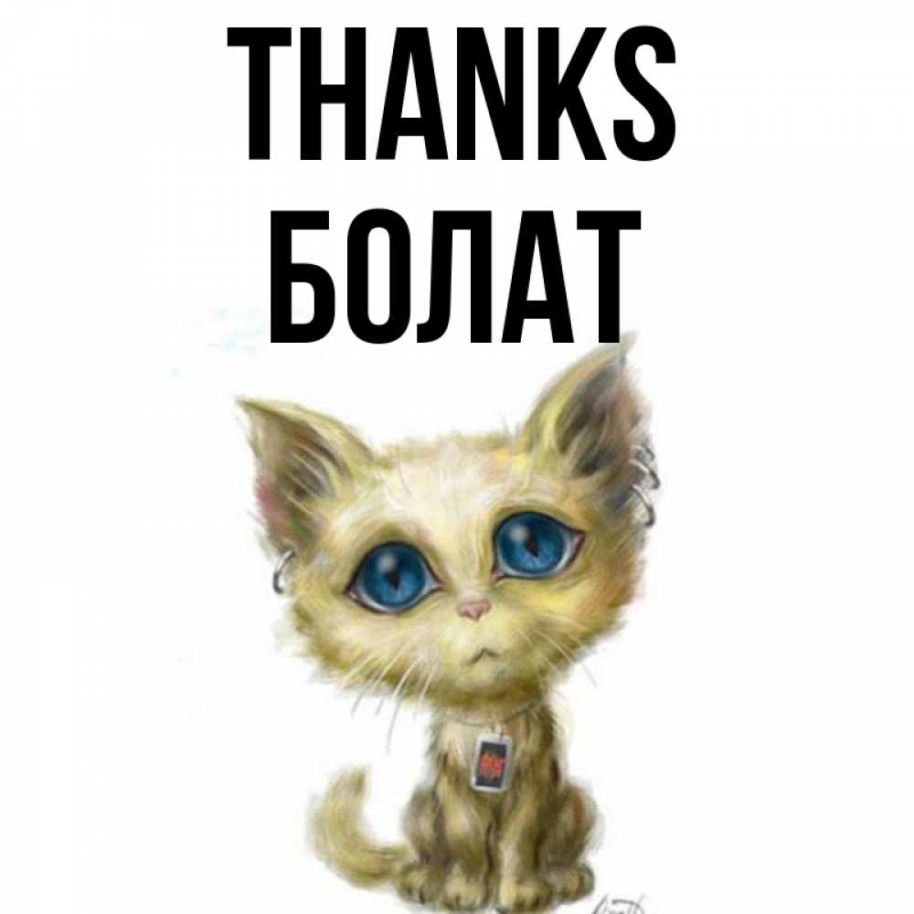 Greetings card с именем, Болат Thanks рисованный кот благодарит вас Greetings with text for free download 