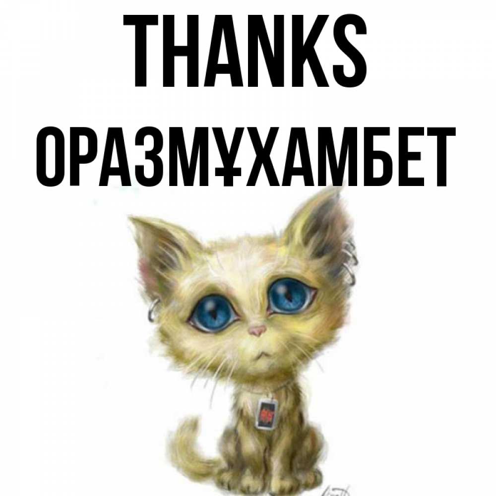 Greetings card с именем, ОРАЗМҰХАМБЕТ Thanks рисованный кот благодарит вас Greetings with text for free download 