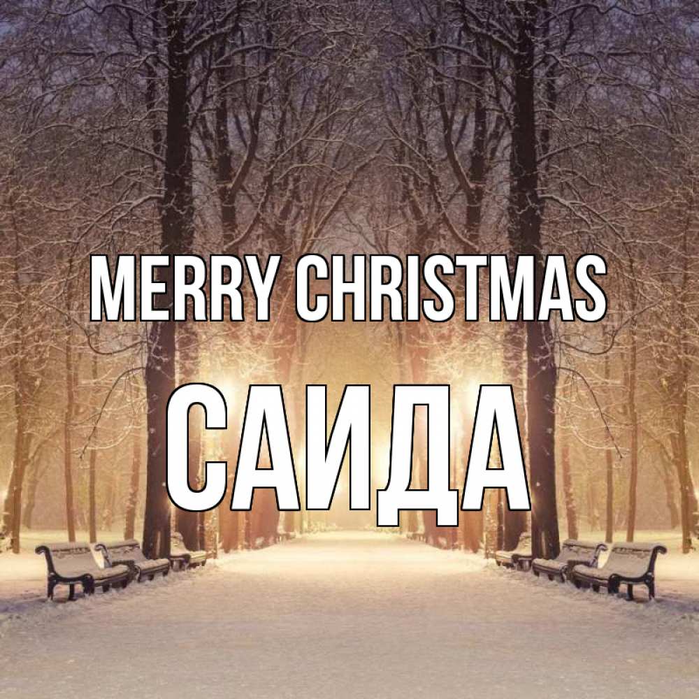 Greetings card с именем, Саида Merry Christmas зима, парк, фонарь, лес Greetings with text for free download 