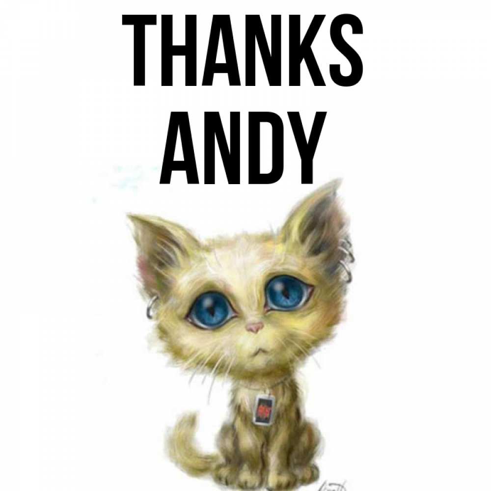 Greetings card с именем, Andy Thanks рисованный кот благодарит вас Greetings with text for free download 