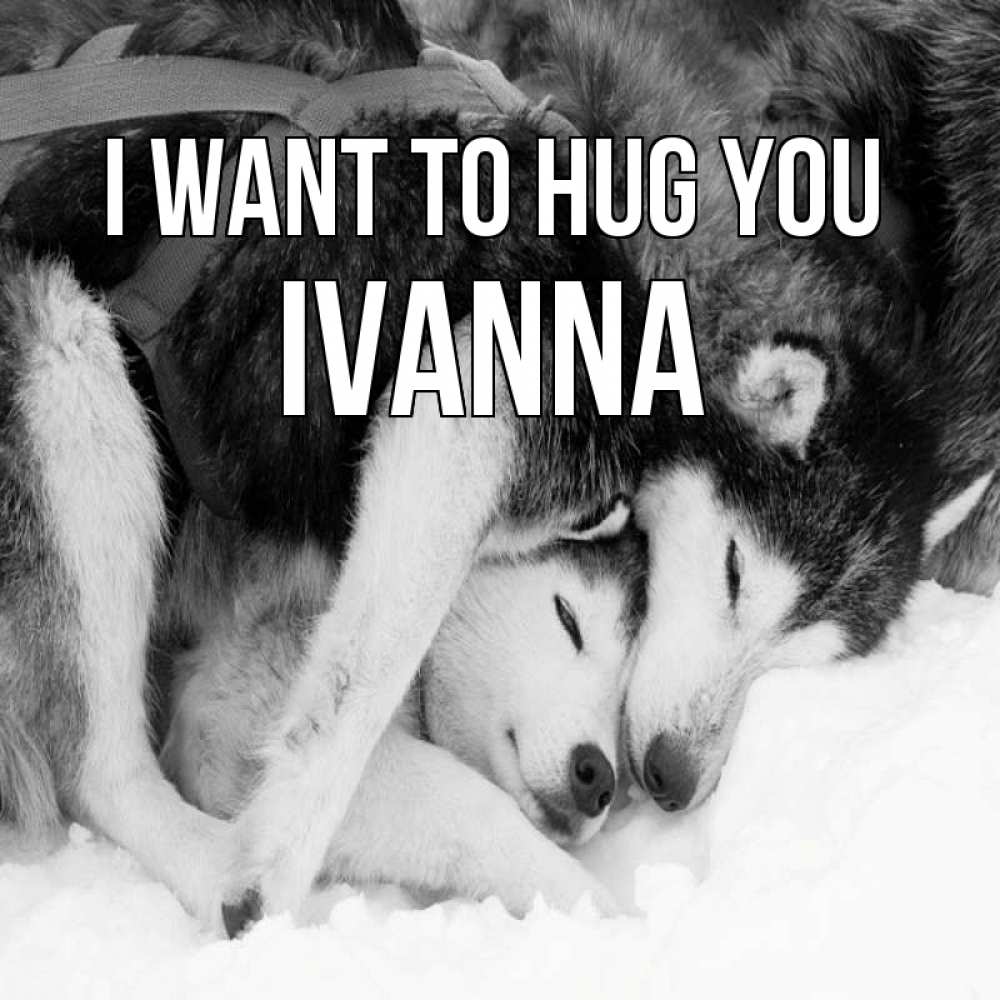 Greetings card с именем, Ivanna I want to hug you собачки в упряжке Greetings with text for free download 