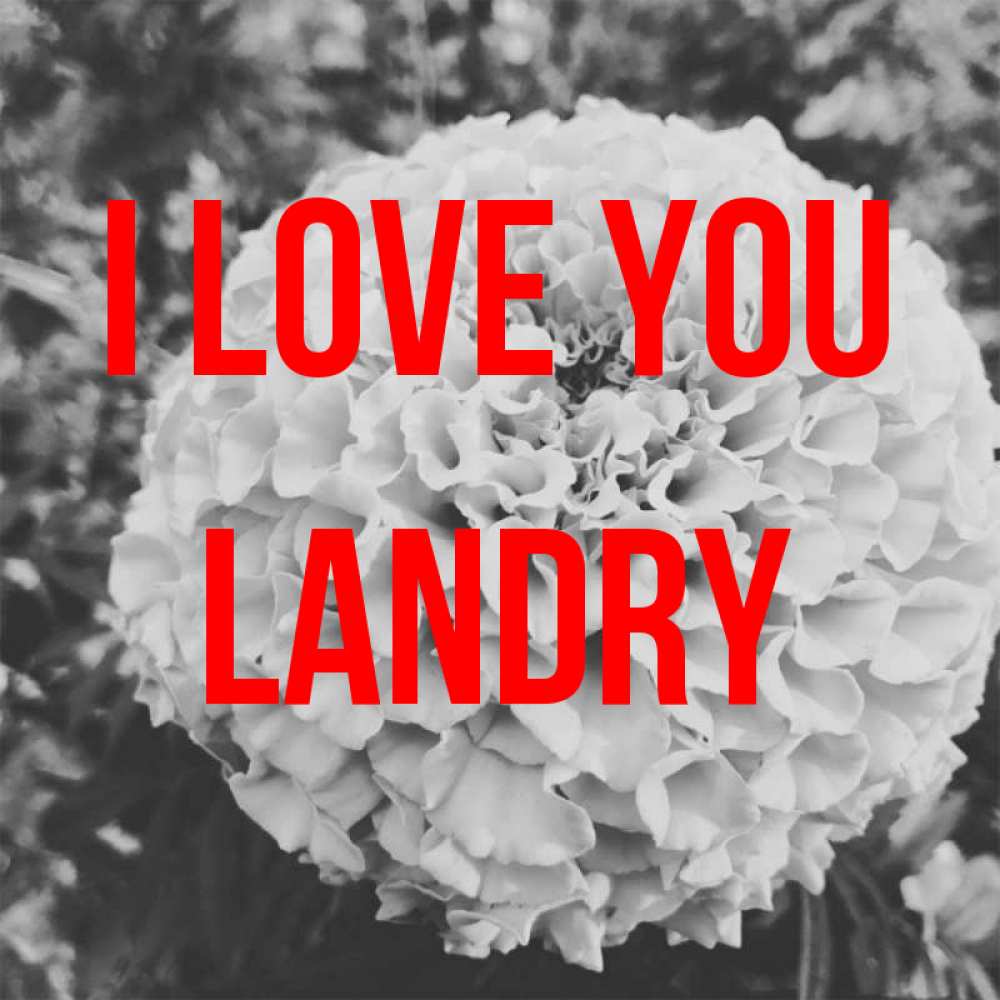Greetings card с именем, Landry I love you подпись Greetings with text for free download 