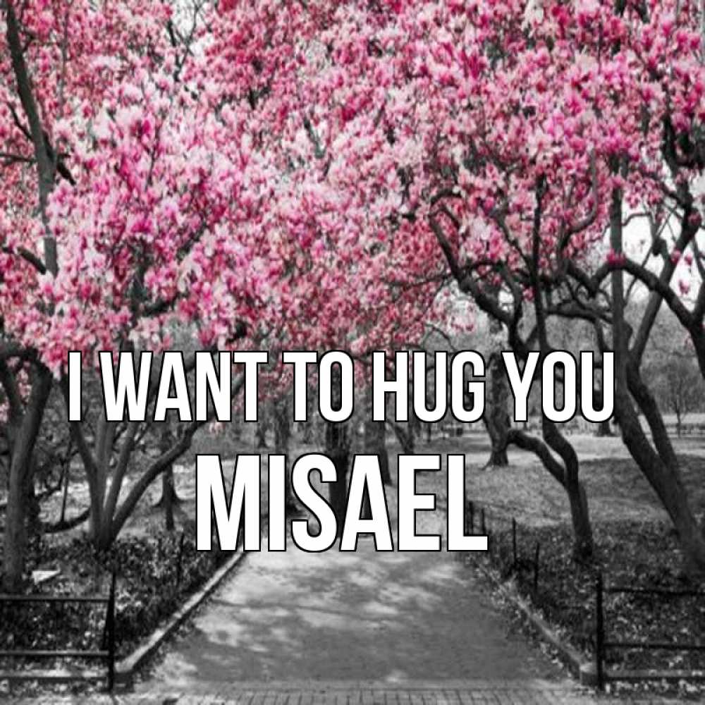 Greetings card с именем, Misael I want to hug you обработанное фото Greetings with text for free download 