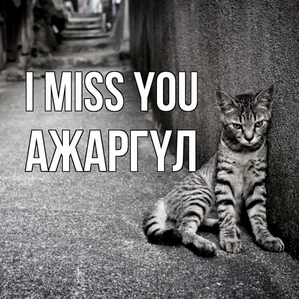 Greetings card с именем, АЖАРГҮЛ I miss you одиноко котику Greetings with text for free download 