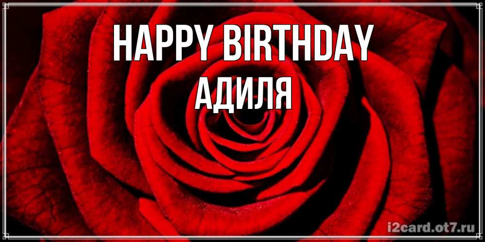 Greetings card с именем, Адиля Happy Birthday алая роза Greetings with text for free download 