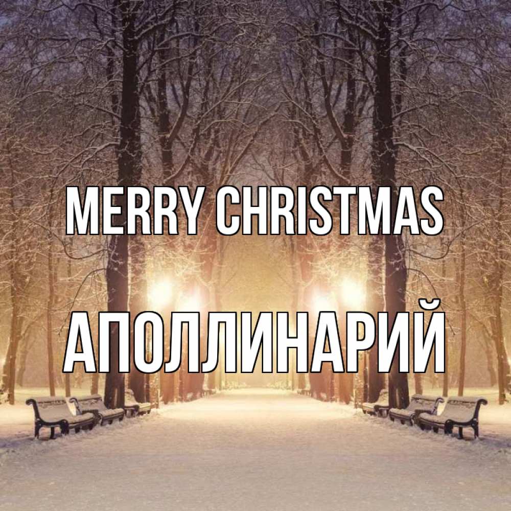 Greetings card с именем, Аполлинарий Merry Christmas зима, парк, фонарь, лес Greetings with text for free download 