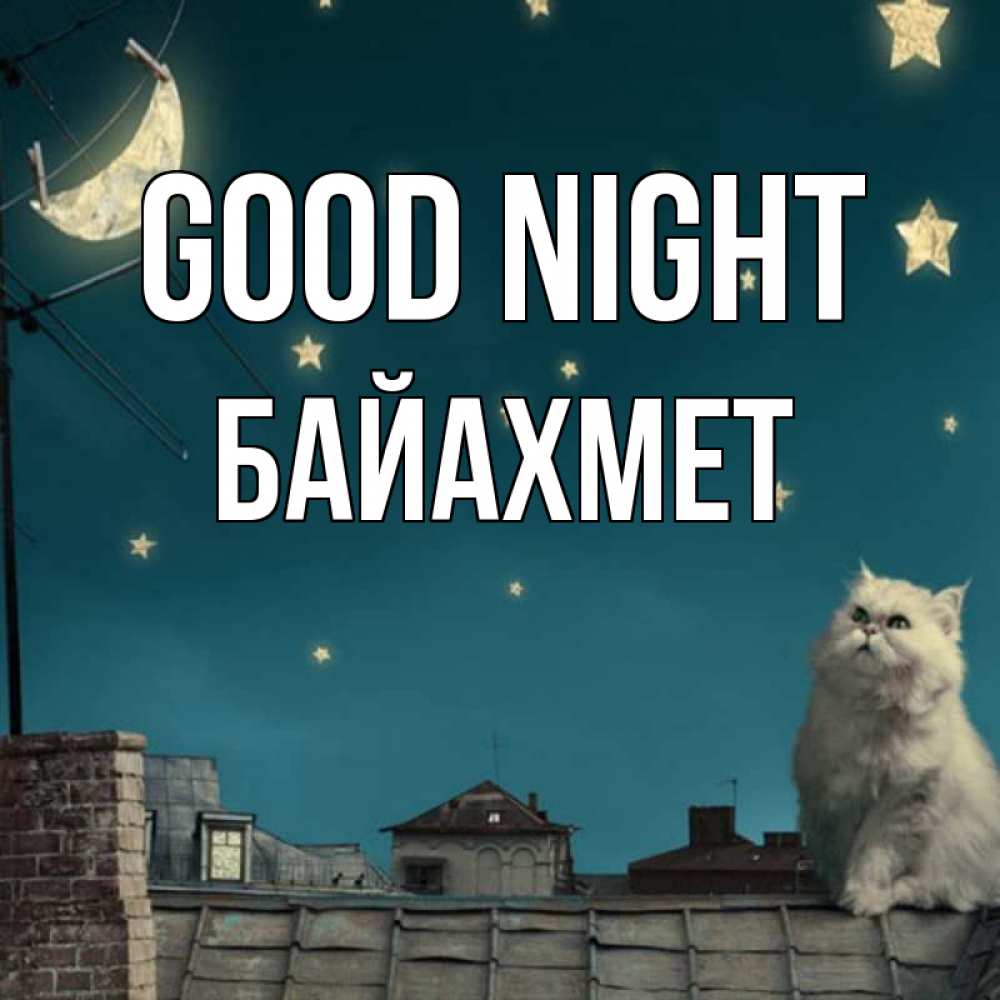 Greetings card с именем, Байахмет Good night белый кот сидит на крыше Greetings with text for free download 