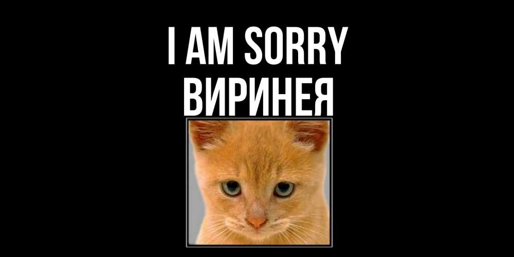 Greetings card с именем, Виринея I am sorry рыжий грустный кот просит прощения Greetings with text for free download 