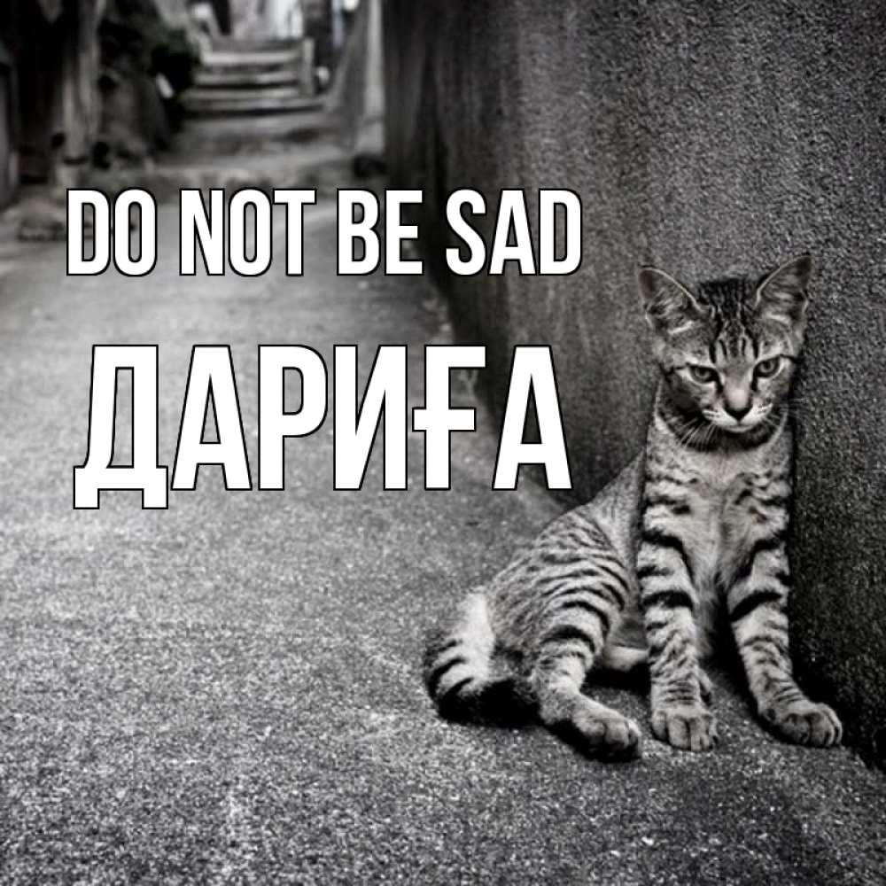 Greetings card с именем, ДАРИҒА Do not be sad скучающий котик Greetings with text for free download 