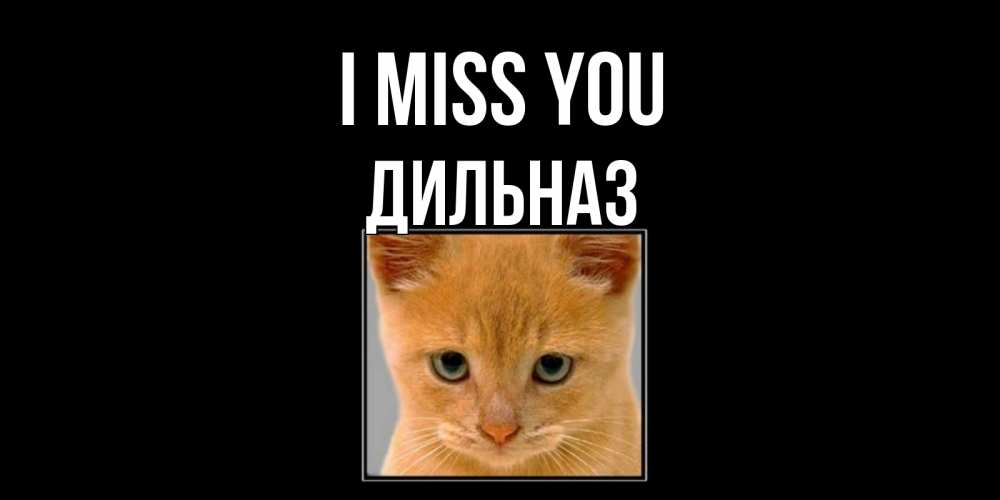 Greetings card с именем, ДИЛЬНАЗ I miss you открытки рыжий котенок скучает по тебе Greetings with text for free download 