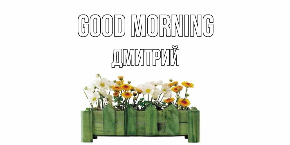 Greetings card с именем, Дмитрий Good morning цветы Greetings with text for free download 