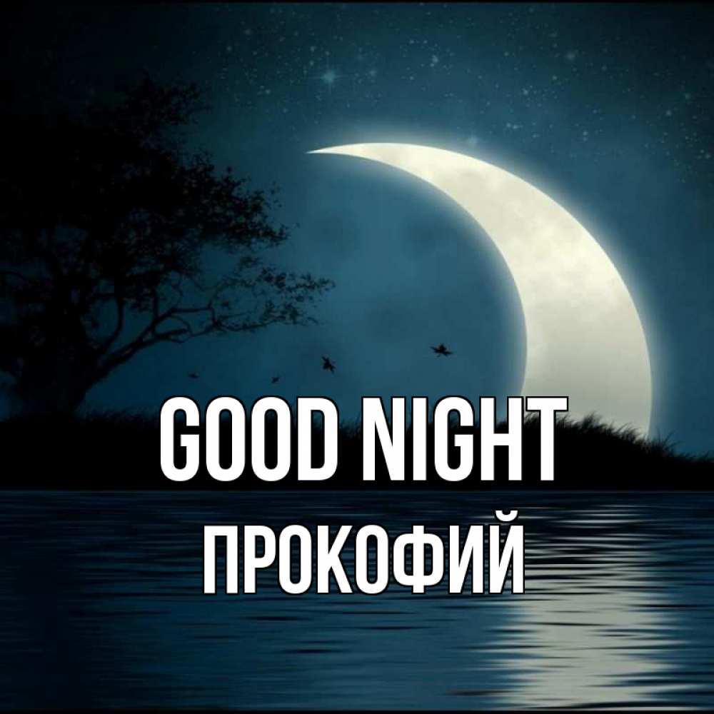 Greetings card с именем, Прокофий Good night вода Greetings with text for free download 