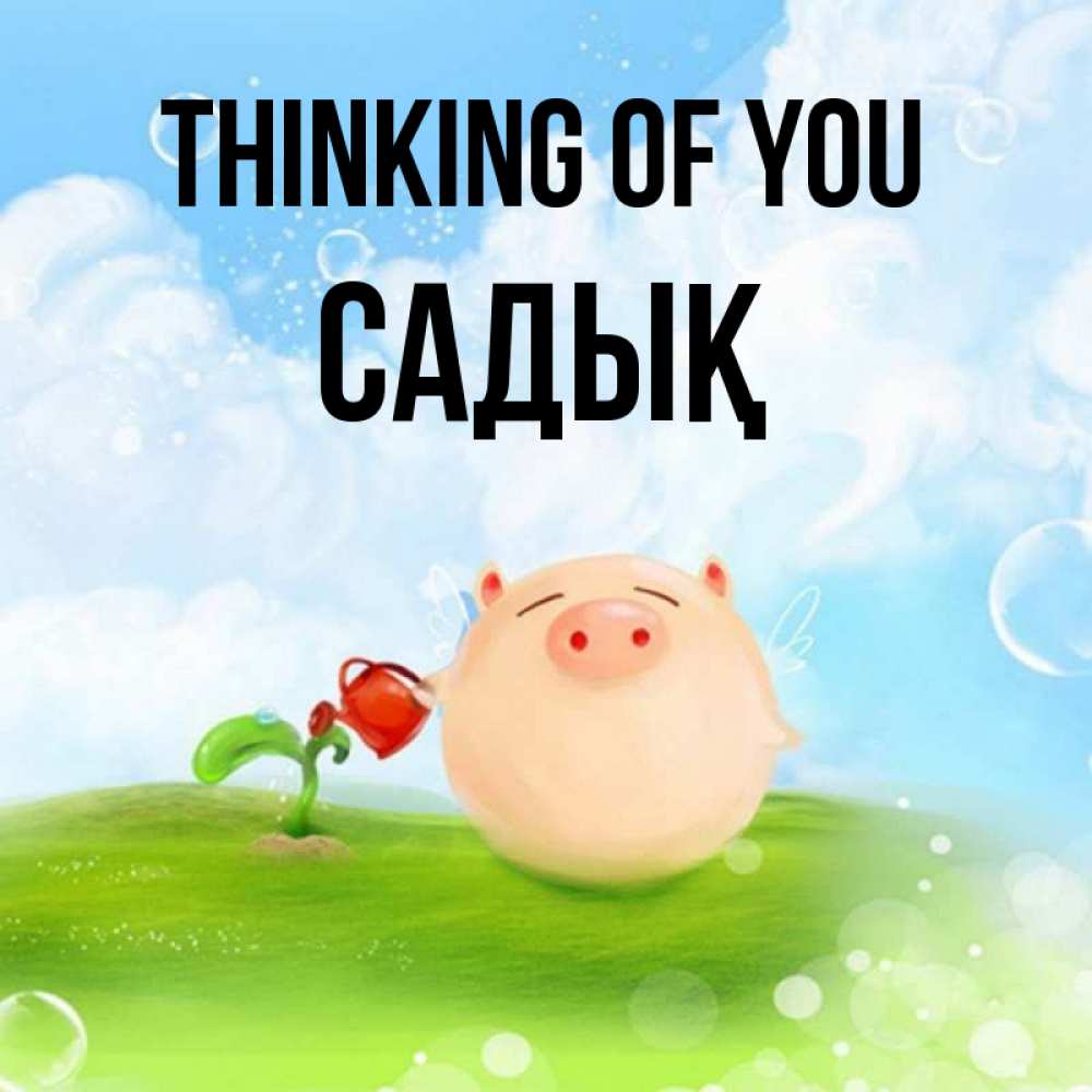 Greetings card с именем, САДЫҚ Thinking of you позитивная свинюшка Greetings with text for free download 