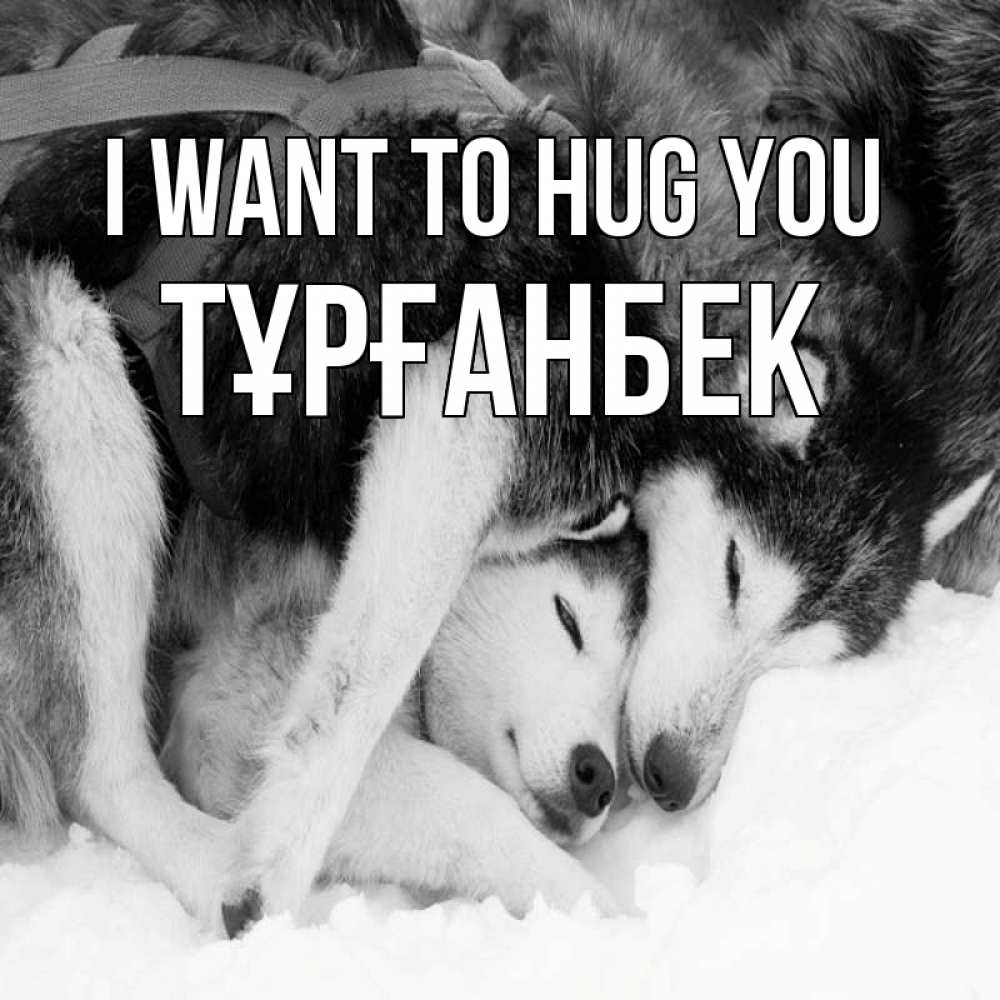 Greetings card с именем, ТҰРҒАНБЕК I want to hug you собачки в упряжке Greetings with text for free download 