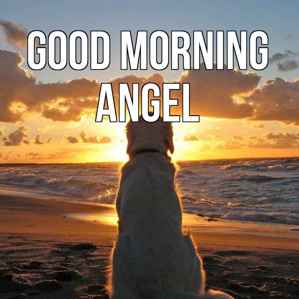 Greetings card с именем, Angel Good morning восход солнца Greetings with text for free download 