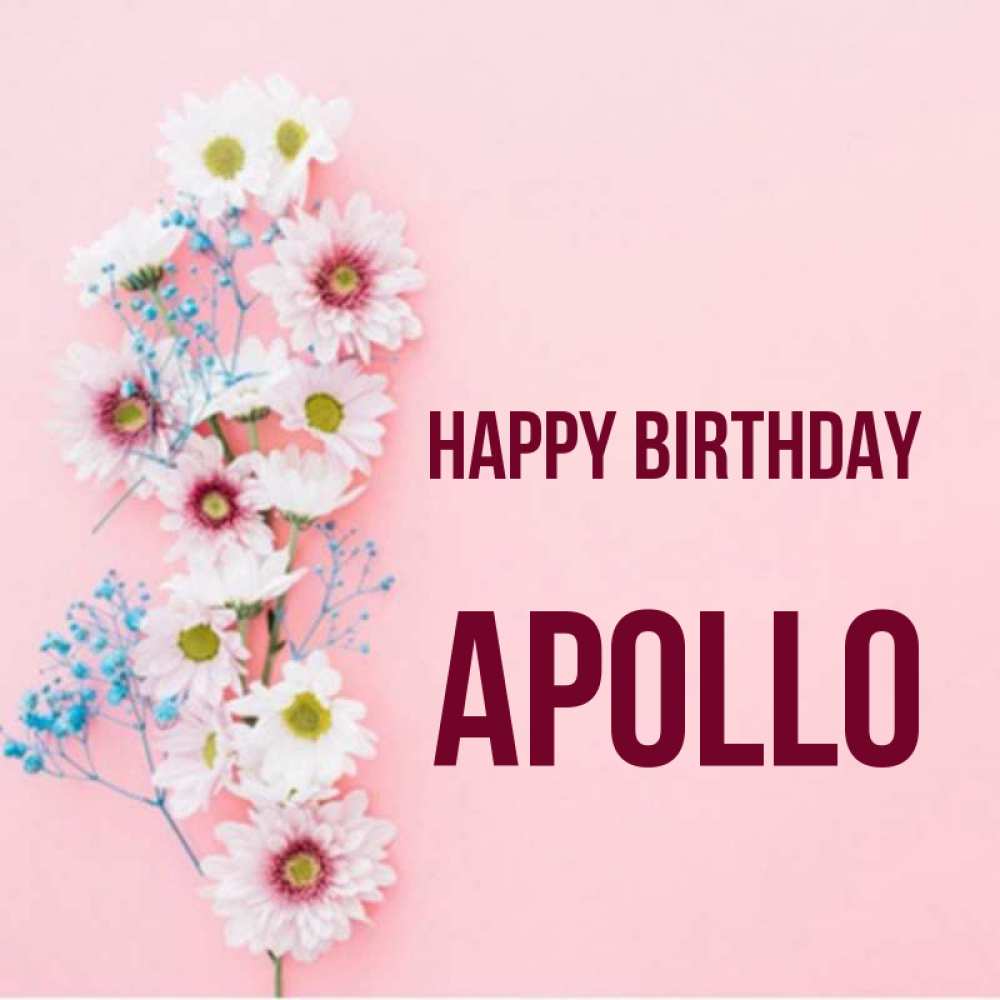 Greetings card с именем, Apollo Happy Birthday Родная моя с днем рождения тебя картинка с цветами белыми и голубыми Greetings with text for free download 