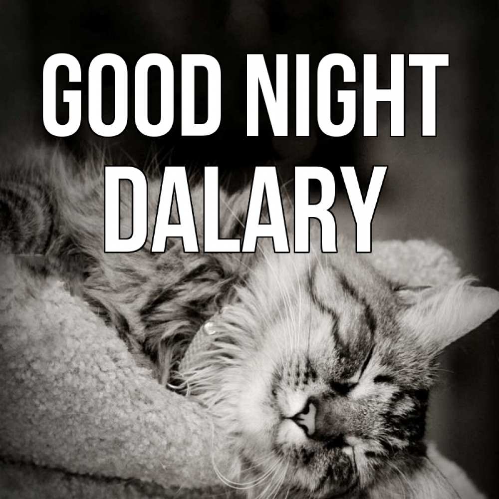 Greetings card с именем, Dalary Good night котярик пушистый Greetings with text for free download 