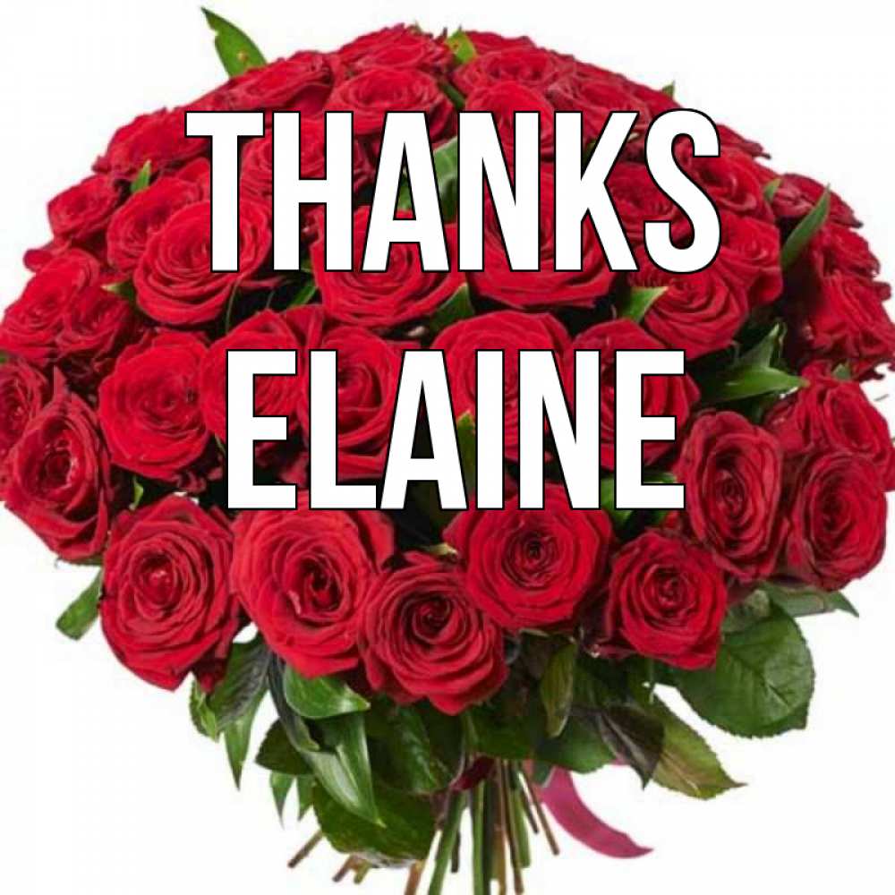 Greetings card с именем, Elaine Thanks букет красных роз Greetings with text for free download 