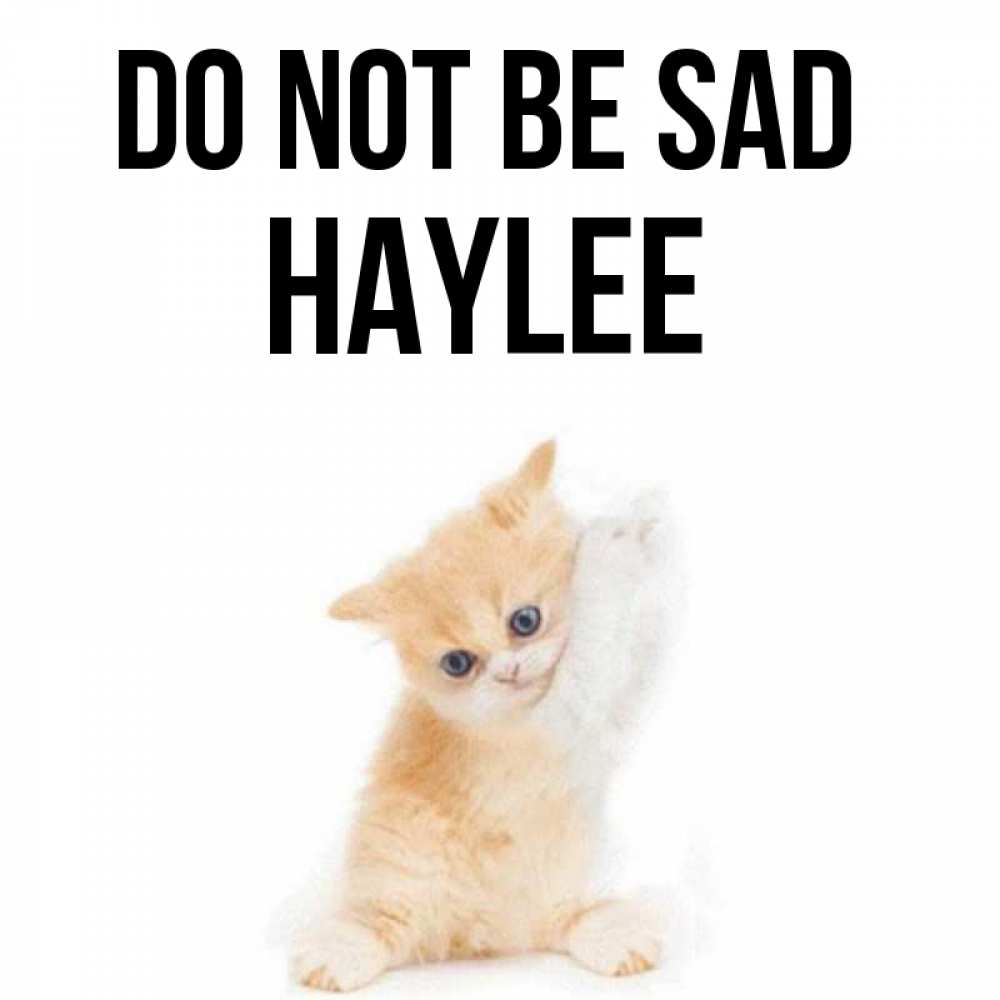 Greetings card с именем, Haylee Do not be sad просящий кот Greetings with text for free download 