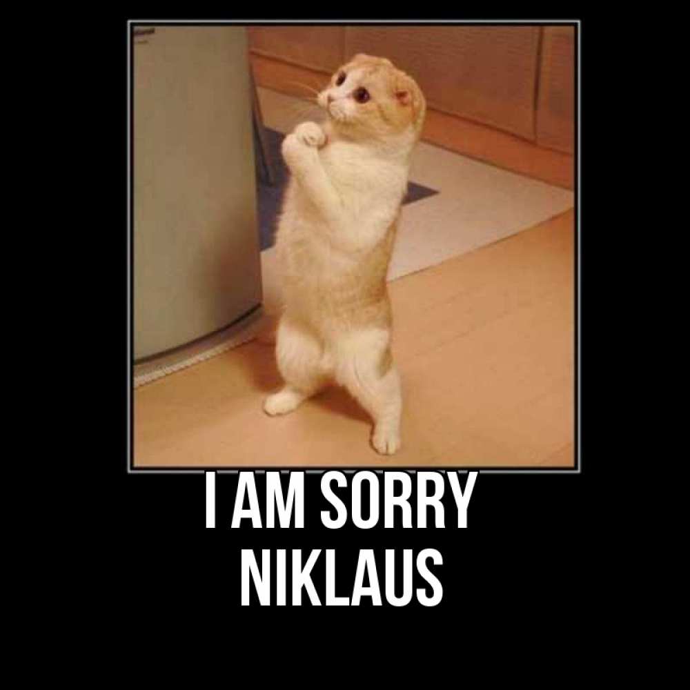 Greetings card с именем, Niklaus I am sorry открытка с милым несчастным котиком просящим прощения Greetings with text for free download 