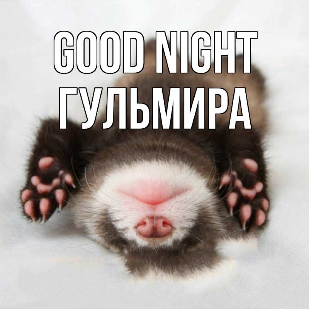 Greetings card с именем, Гульмира Good night зверек Greetings with text for free download 